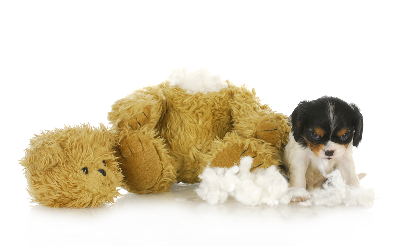 Revitalize Your Life with Decluttering and Simplicity