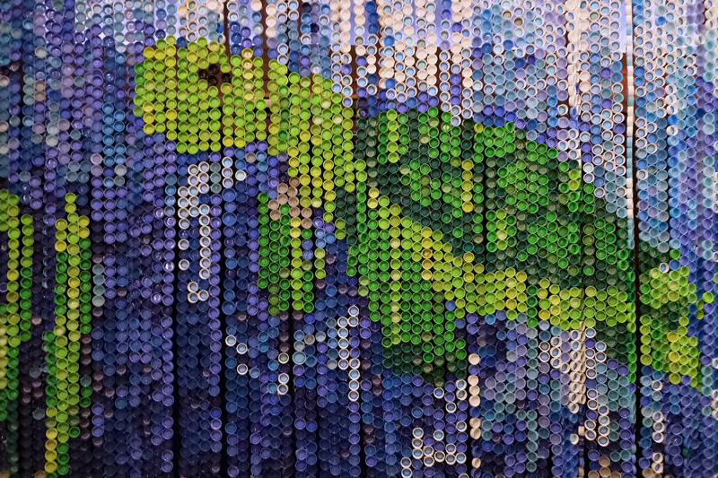 waste removal waste collection